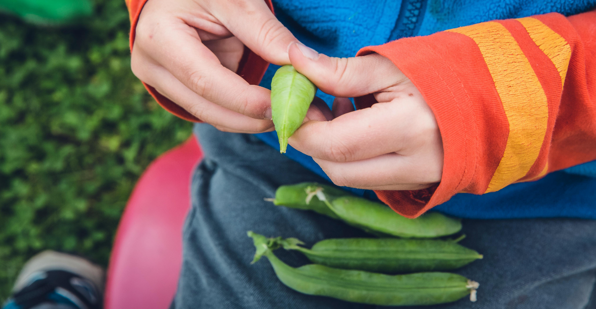 Child popping peas